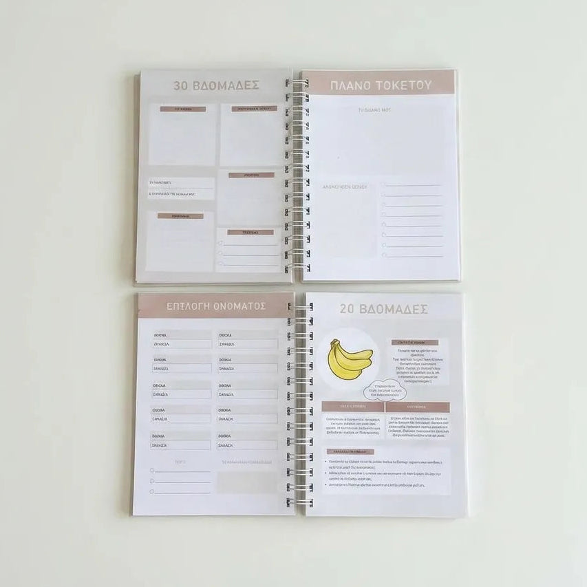 Pregnancy journal