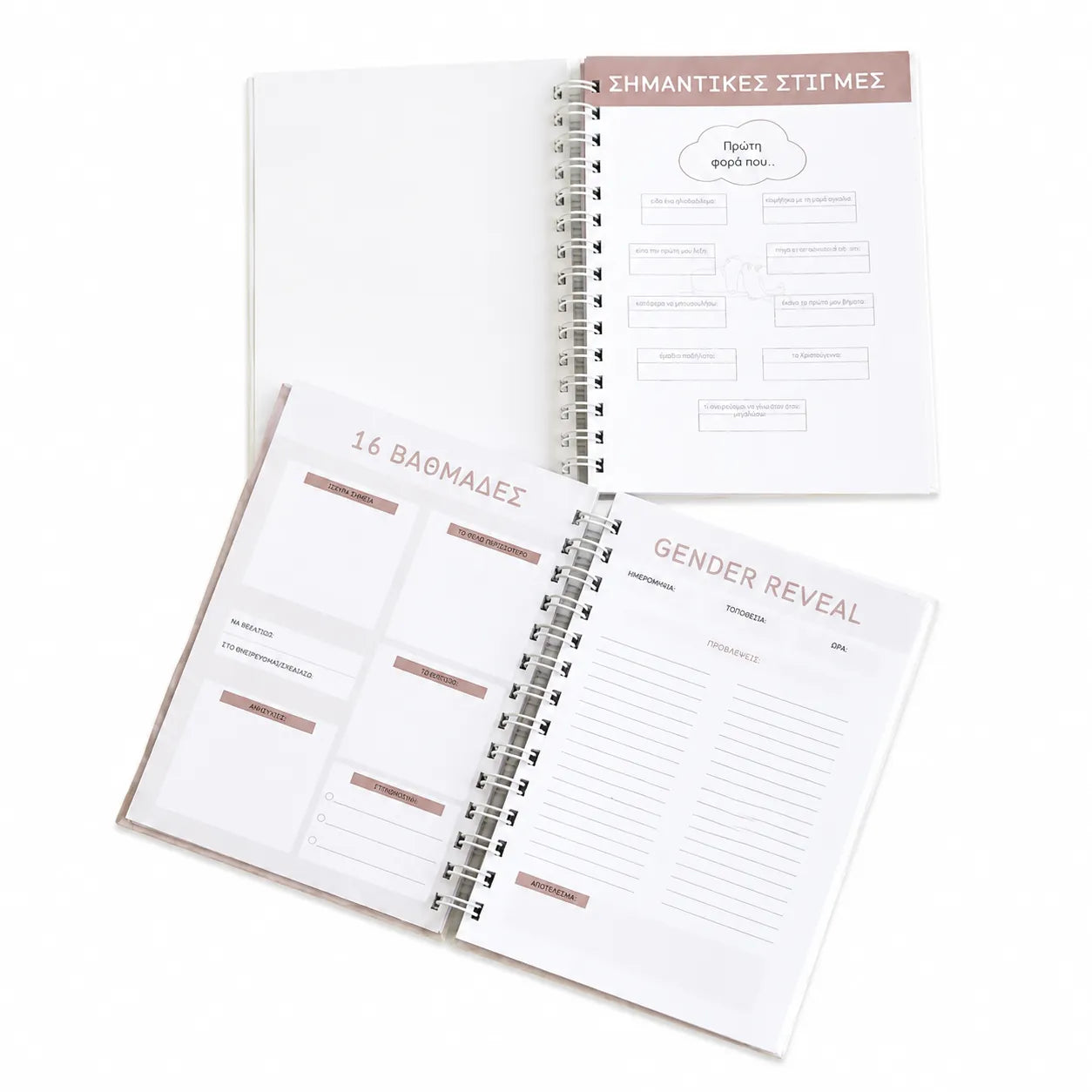 Pregnancy journal