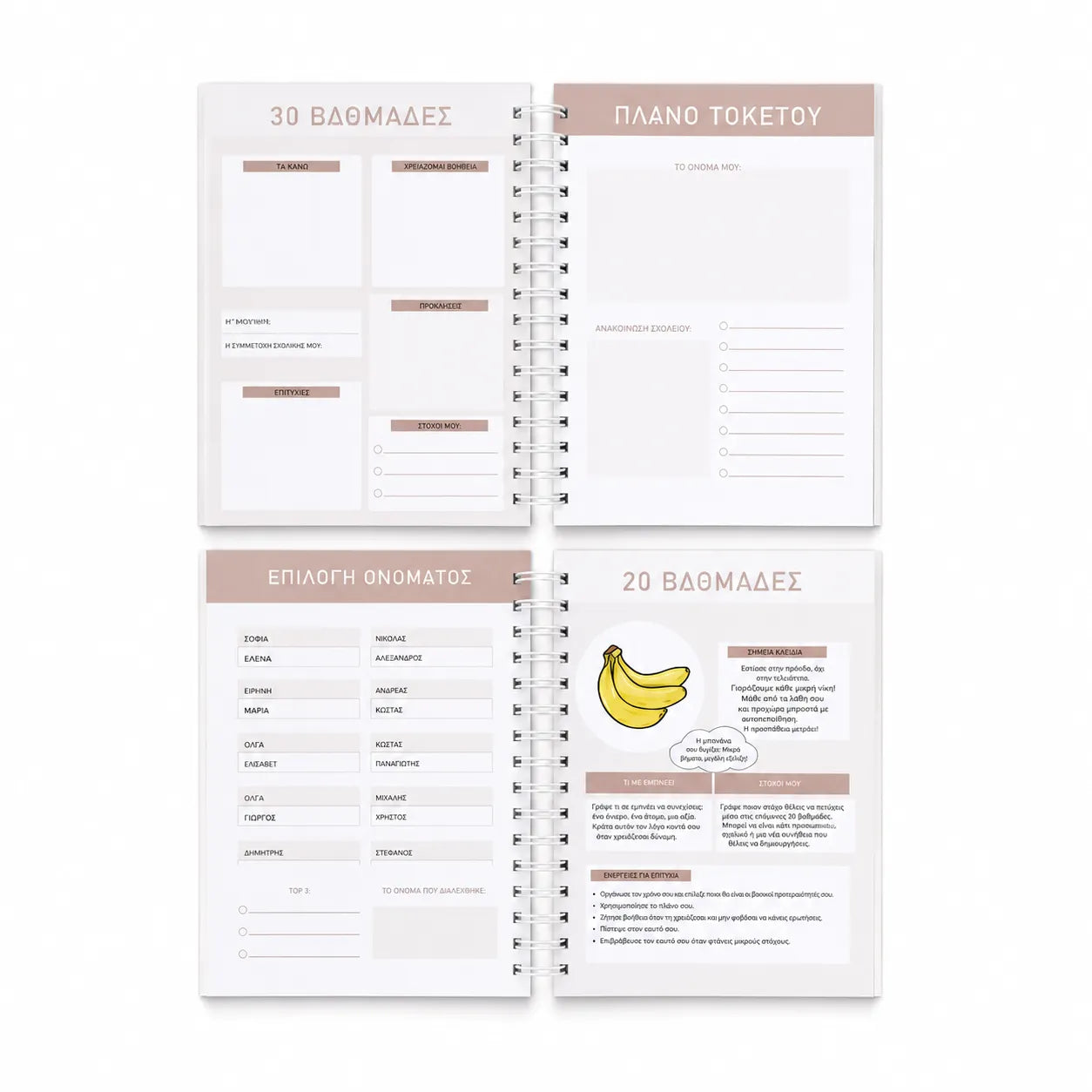 Pregnancy journal