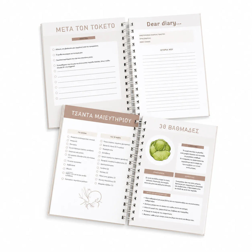 Pregnancy journal