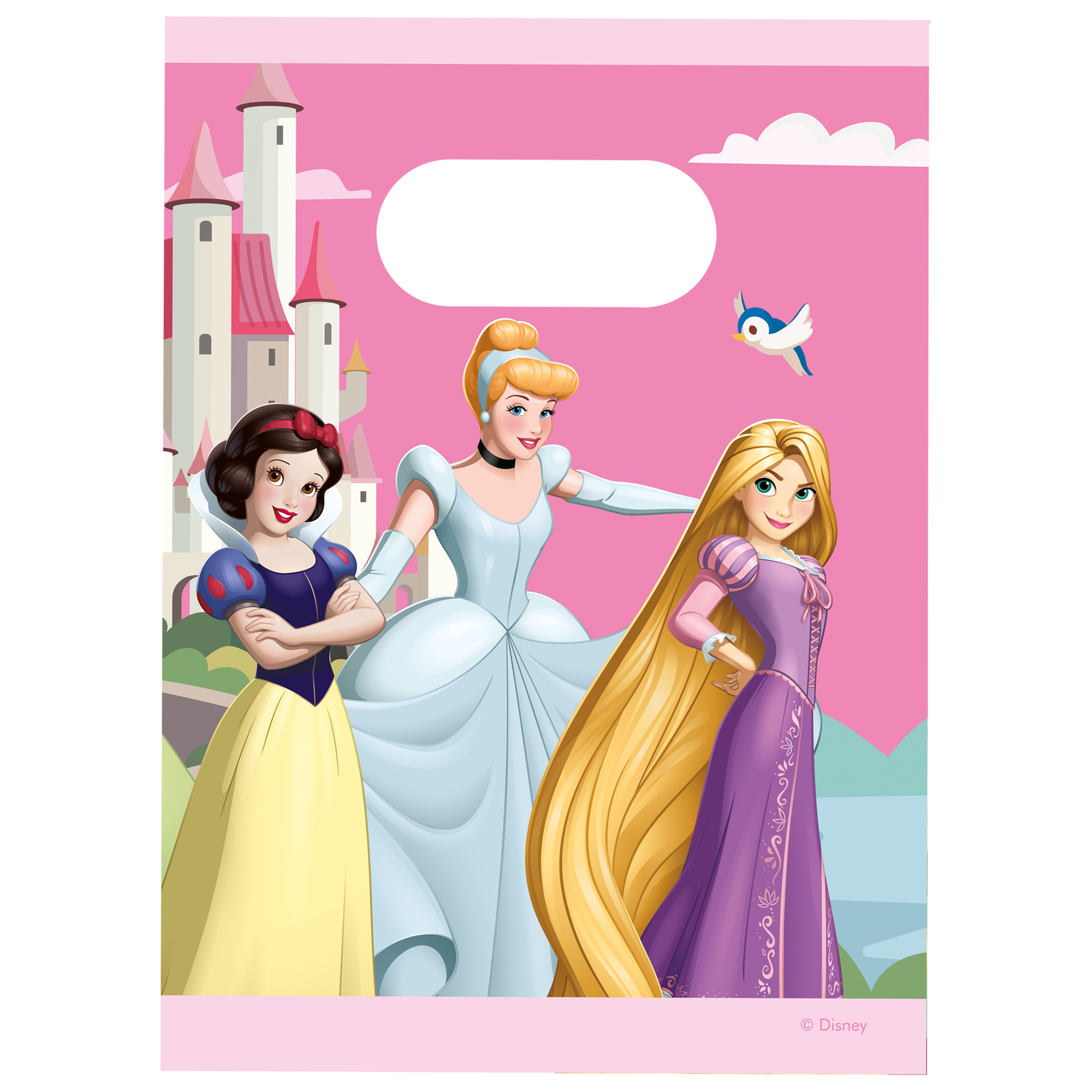 Princesses Bags (Pack of 4)