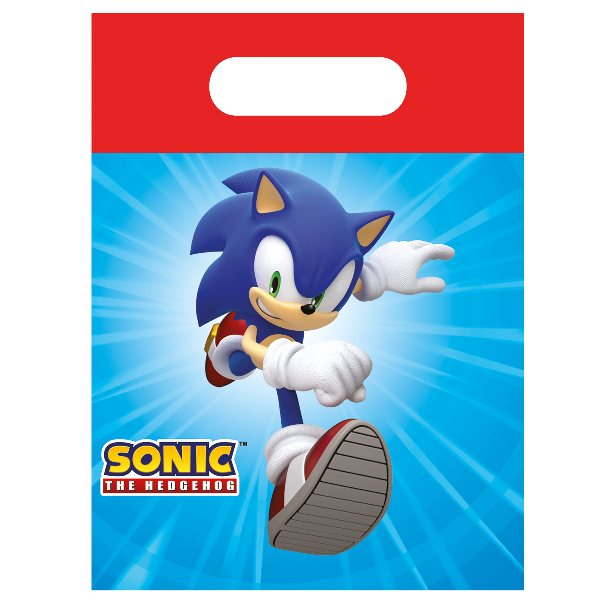 Sonic Bags (Pack of 4)