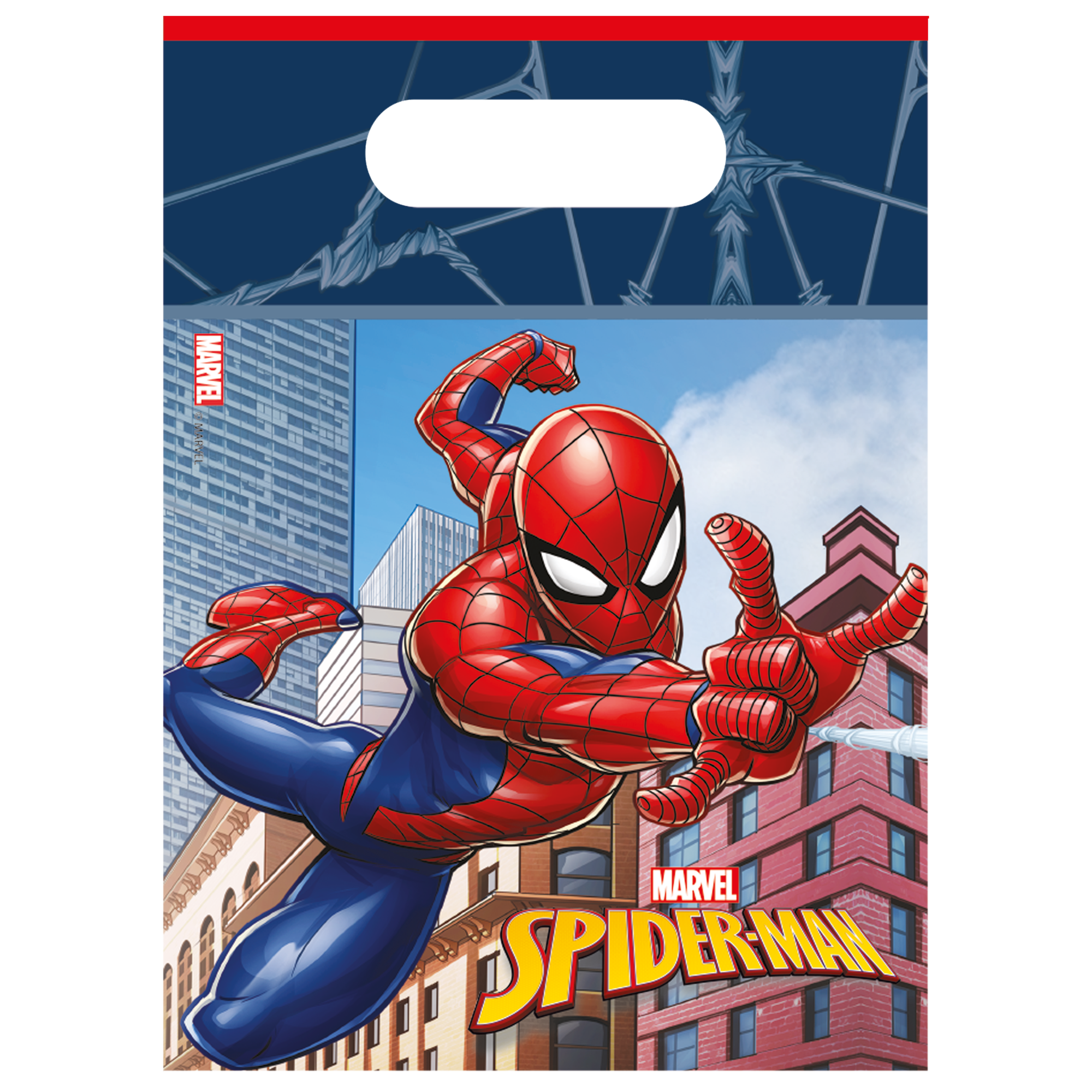 Spiderman Bags (Pack of 6)